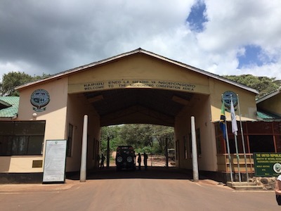ngorongoro